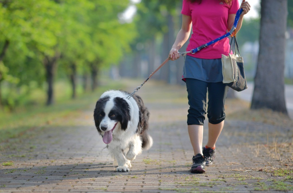 愛犬と散歩する女性